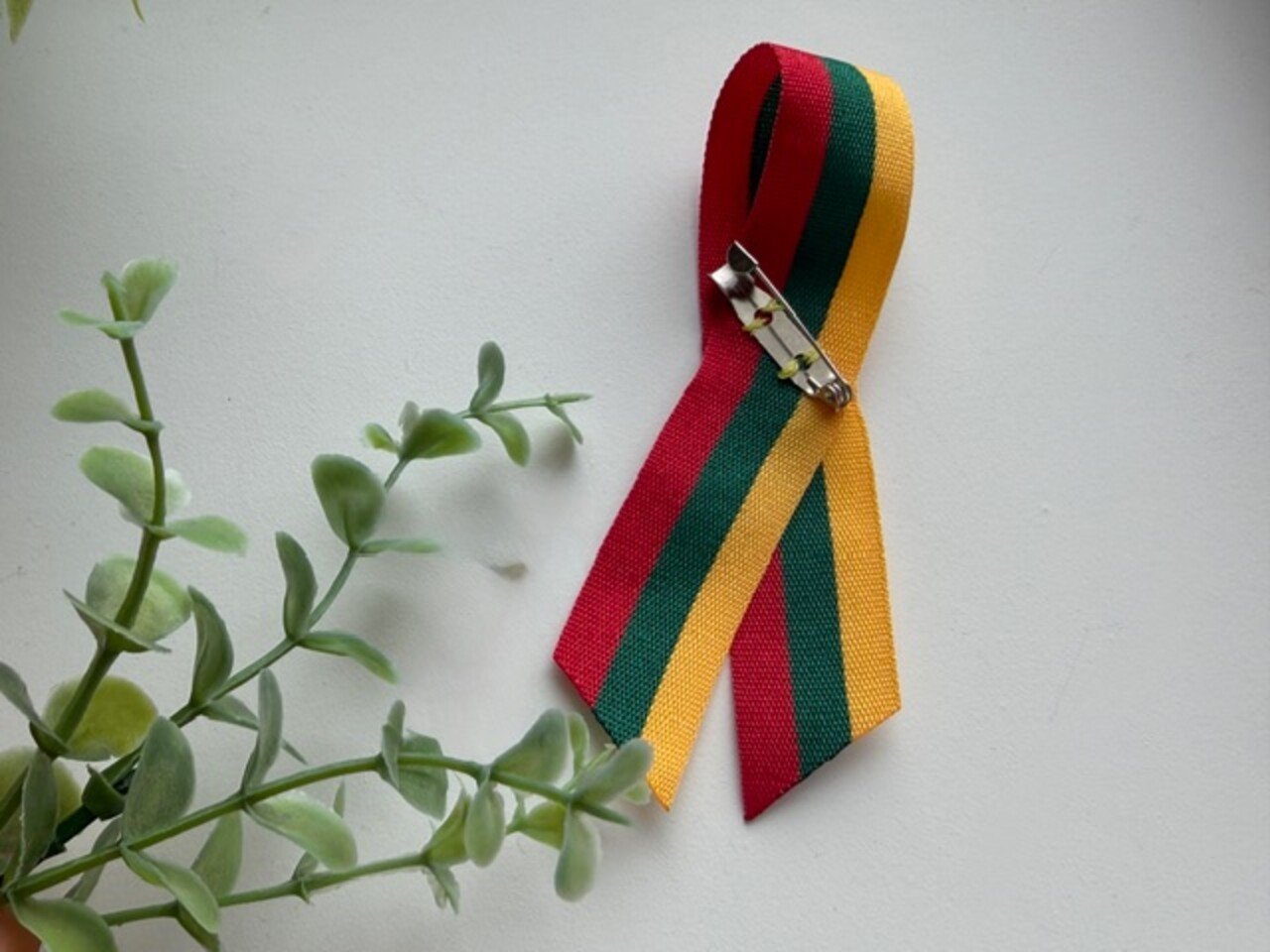 Juostelė ,,Trispalvė” 1