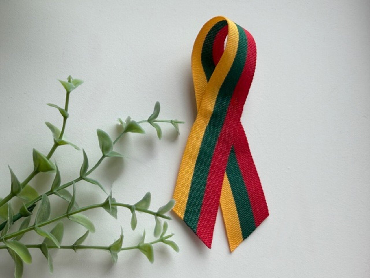 Juostelė ,,Trispalvė”